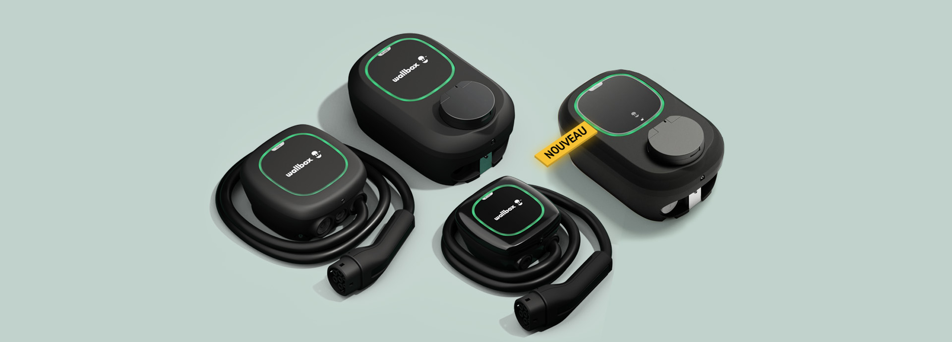 Borne de recharge à domicile Carplug — installation certifiée IRVE dans un garage